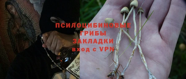 СК Горняк