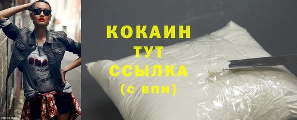 СК Горняк