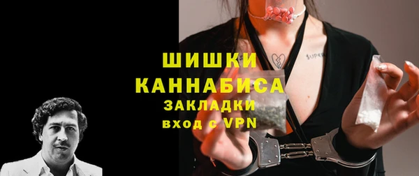 гидра Горно-Алтайск