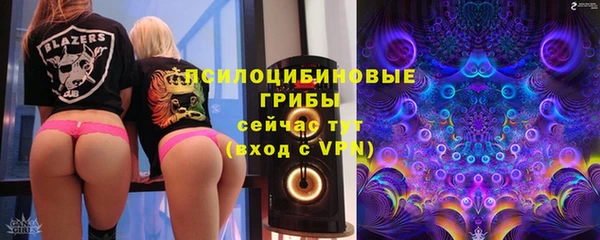 2c-b Горнозаводск