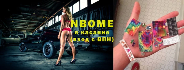 гидра Горно-Алтайск