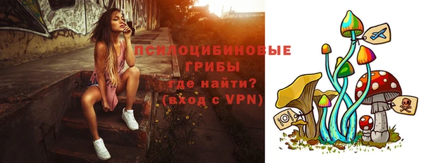 2c-b Горнозаводск