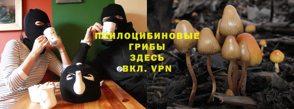 гидра Горно-Алтайск