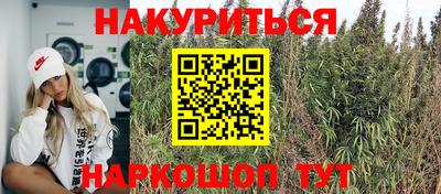 a pvp Волгодонск