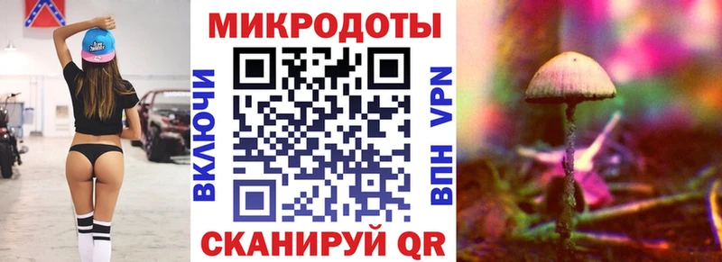 МЕГА онион Вятские Поляны Галлюциногенные грибы Psilocybe купить закладку