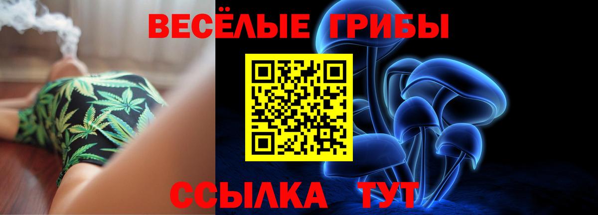 Галлюциногенные грибы ЛСД  Вход с VPN  Вятские Поляны  Галлюциногенные грибы MAGIC MUSHROOMS 
